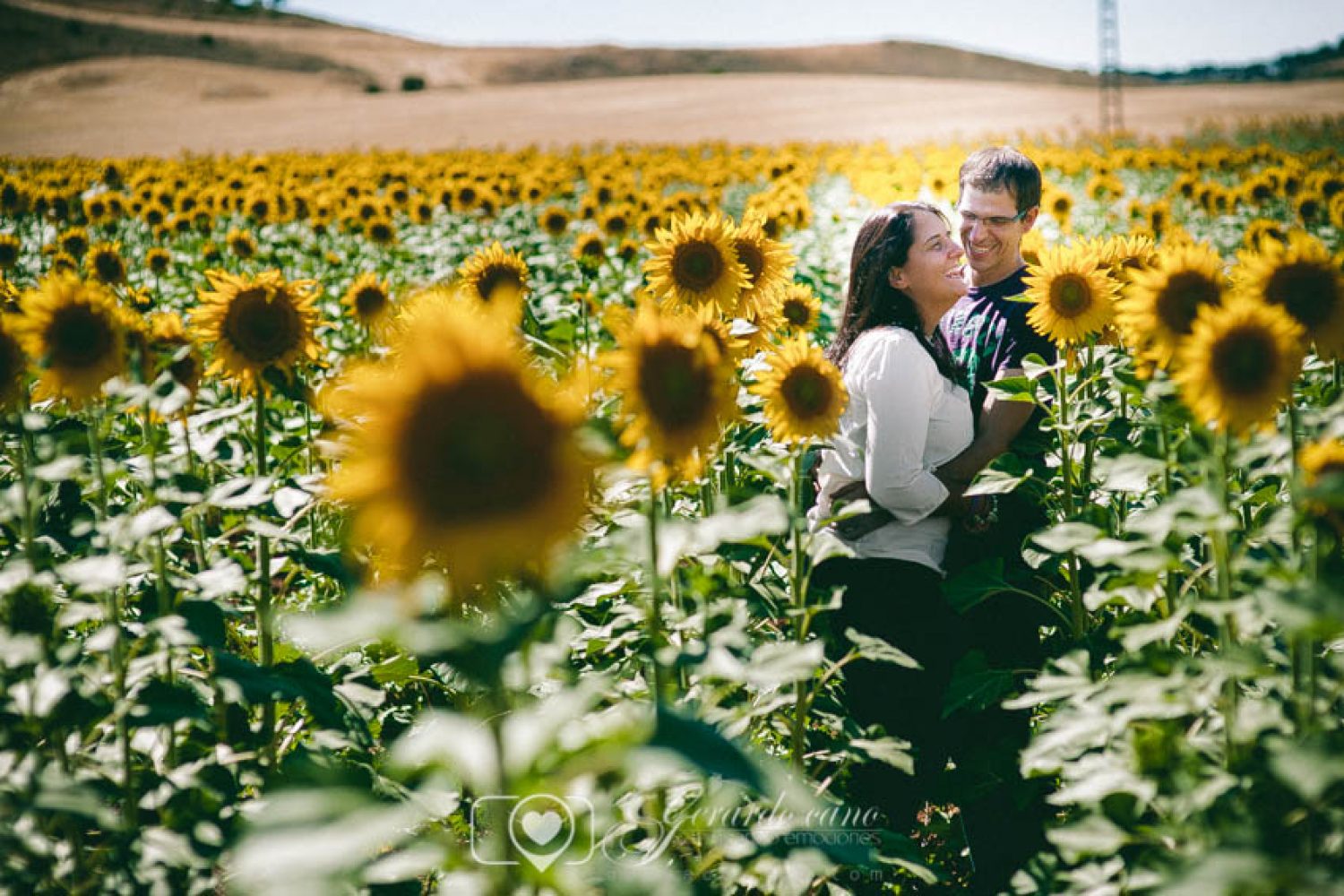 Fotos Boda Cuenca: Sesión de pre-boda con girasoles en Cuenca (42)