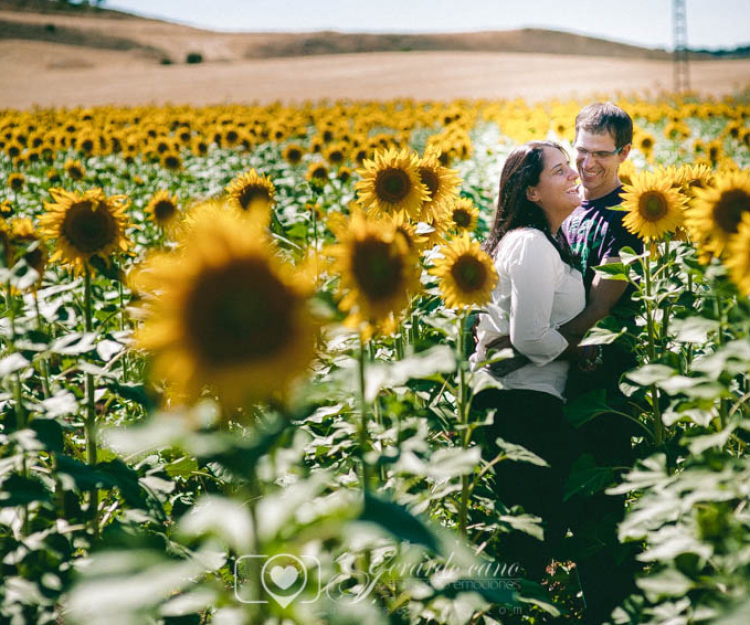 Fotos Boda Cuenca: Sesión de pre-boda con girasoles en Cuenca (42)